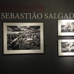 Себастио Сальгадо «Генезис»