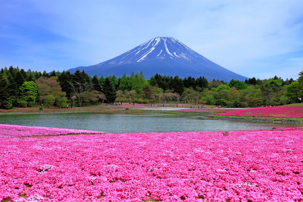 Священная Гора Фудзи
