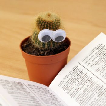 book-cactus-knowledge